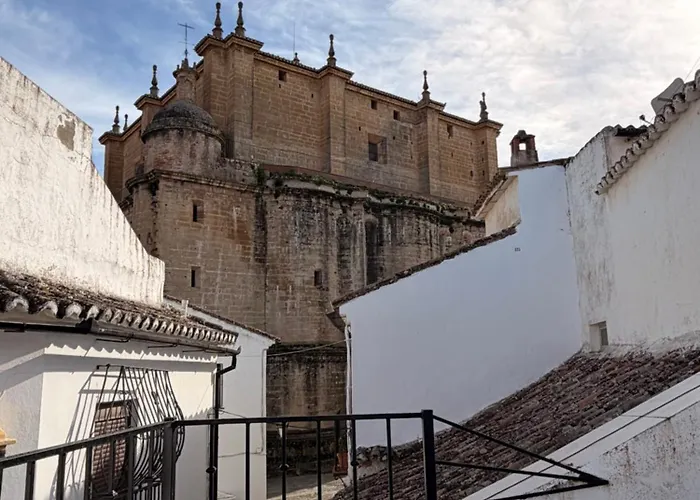 Daniela 1 Terraza Con Vistas A La Catedral *